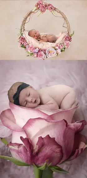 montage photo